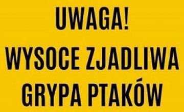 Uwaga! Wysoce zjadliwa grupa ptaków