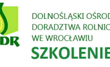 Szkolenie Warunkowość