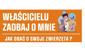 "Pies pod paragrafem"- program poprawy warunków życia zwierząt domowych i gospodarskich na terenie dolnośląskich gmin wiejskich.