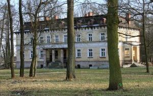 Pałac w Stradomi Wierzchniej (5)