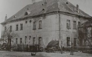 Pałac w Dziadowym Moście (3)
