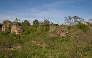 Pałac w Dziadowym Moście (6)