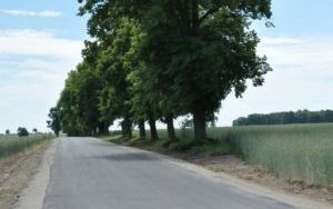 Droga Gronowice-Brzezinka (7)