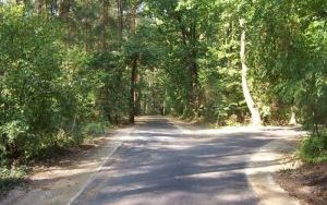 Droga Dziadowa Kłoda - Szklarka (12)