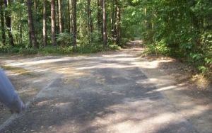 Droga Dziadowa Kłoda - Szklarka (3)
