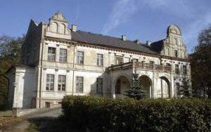Pałac w Dalborowicach (3)