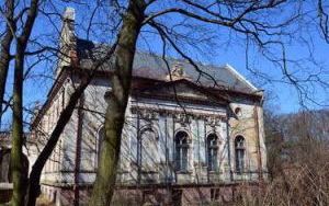 Pałac w Dalborowicach (9)