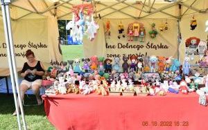 Dni Gminy Dziadowa Kłoda (14)