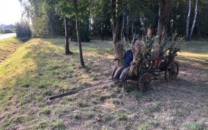 Zaproszenie na dożynki gminne 2023 (3)