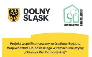 Plac zabaw w Dalborowicach :) (10)