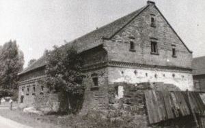 Gołębice na starej fotografii (2)