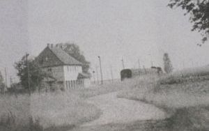 Gołębice na starej fotografii (5)