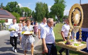 Zdjęcia (7)