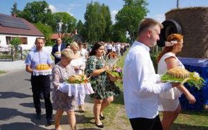 Zdjęcia (8)