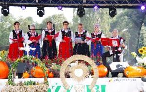 Zdjęcia (7)