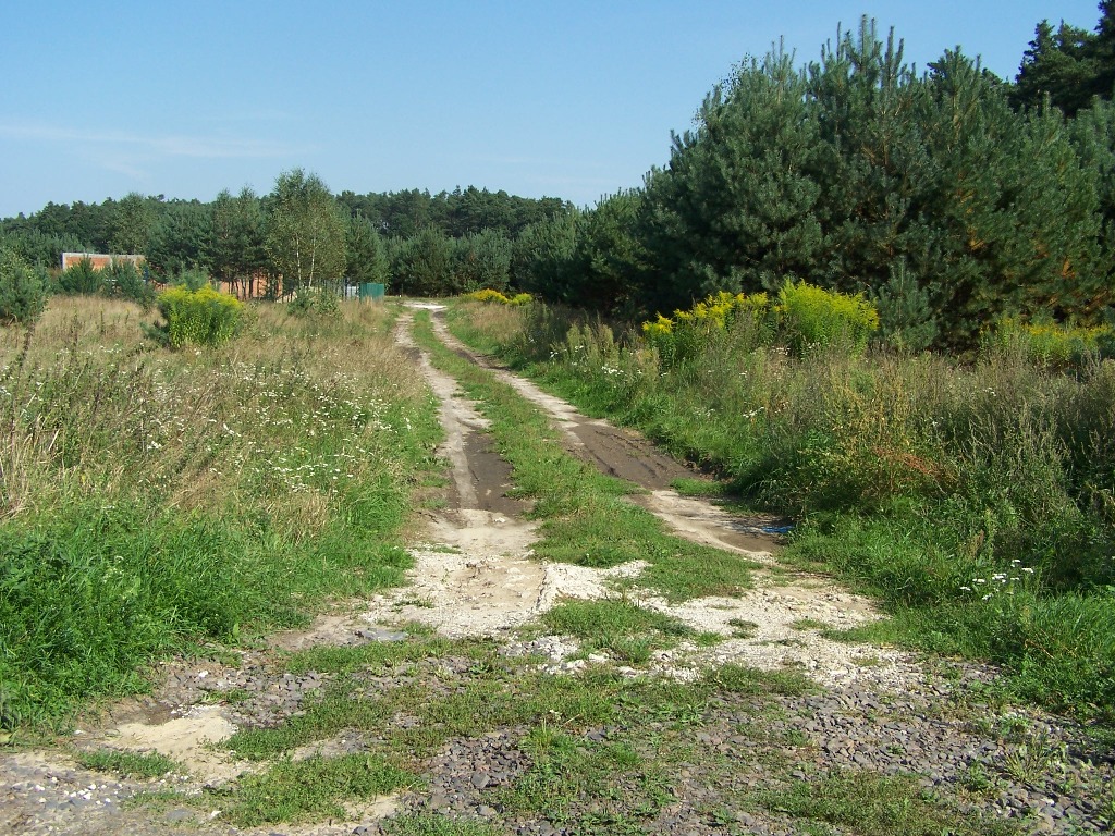 Budowa sieci wodociągowej w Dziadowej Kłodzie